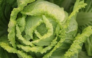 Темно-зелені овочі